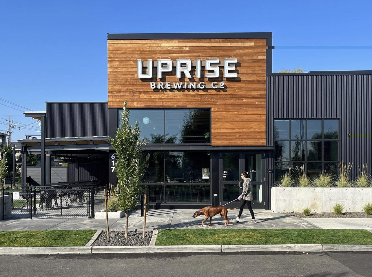 uprise 1-
